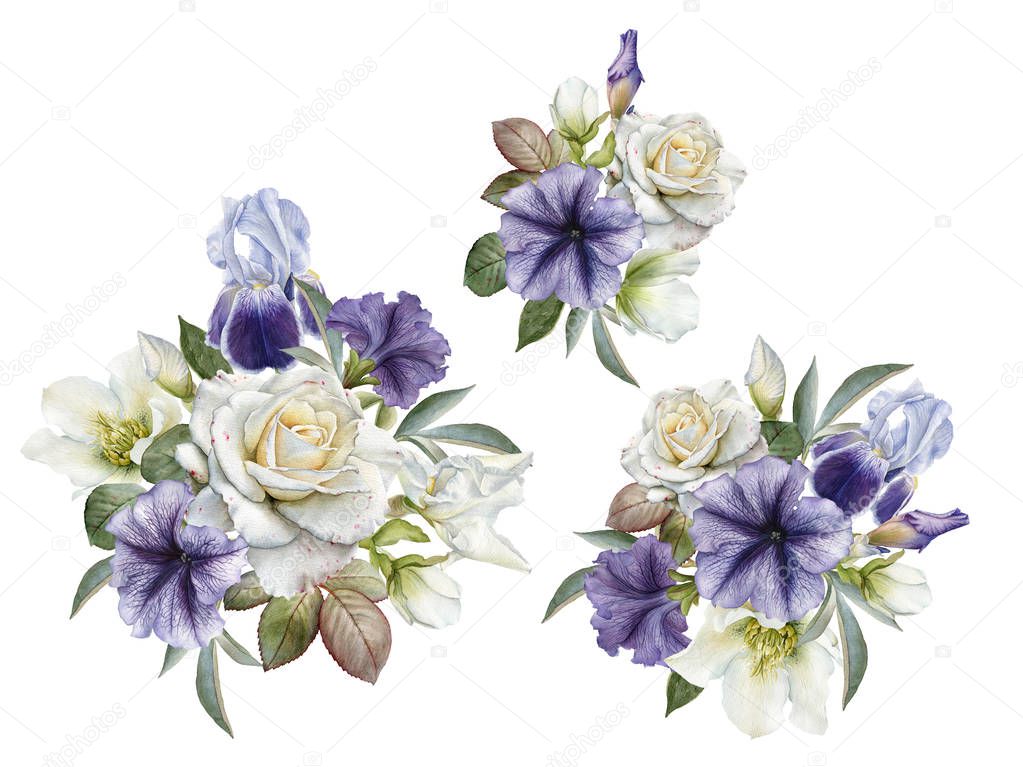 Bouquet of flowers. Flowers set of watercolor roses, petunias and hellebore 