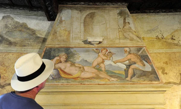 Äldre Turist Beundrar Fresk Från 1500 Talet Arqu Petrarca Italien — Stockfoto
