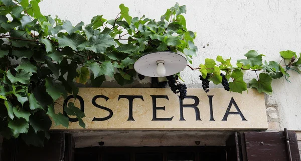 Osteria, lokali. Tipik İtalyan restoranı işareti asma bitki ve gerçek ile üzüm demet. Arqu Petrarca, Veneto, İtalya