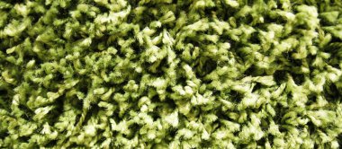 Halı yün menteşe yeşil renk tonu