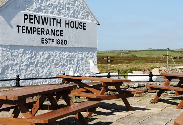 First Last Refreshment House England Located Land End Seagull Table — Stock Photo, Image