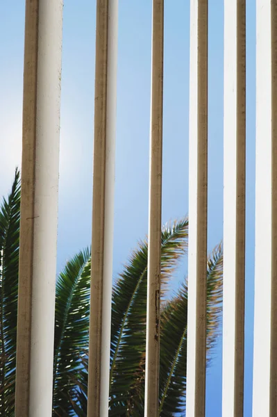 Kaliteli Ahşap Barlar Palmiye Yaprakları Güzel Mavi Gökyüzü Plaj Deniz — Stok fotoğraf