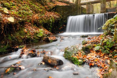Sonbaharda küçük şelale
