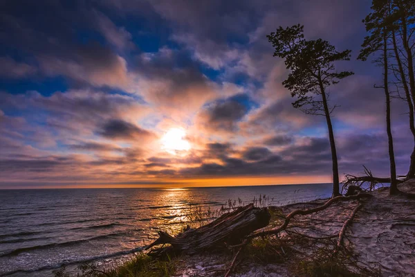 Hollandalı şapka, Klaipeda, Litvanya