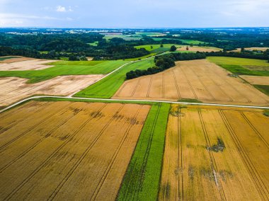 Sonbahar hava üstten görünüm alanları tarlada hasat