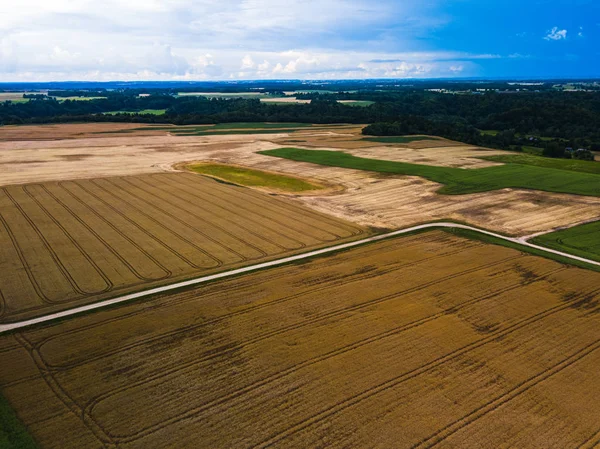 Sklizeň obilí v podzimní letecký pohled na horní pole — Stock fotografie