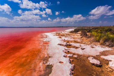 Laguna Salada de Torrevieja.Spain tuzlu kıyısında.