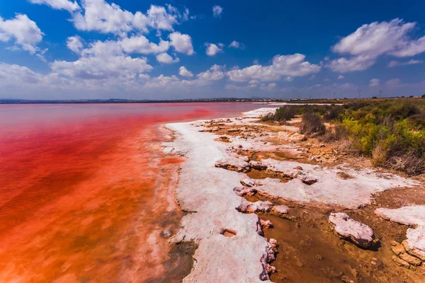 Laguna Salada de Torrevieja.Spain tuzlu kıyısında.