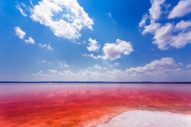 Laguna Salada de Torrevieja.Spain tuzlu kıyısında.