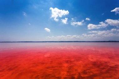 Laguna Salada de Torrevieja.Spain tuzlu kıyısında.