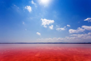 Laguna Salada de Torrevieja.Spain tuzlu kıyısında.