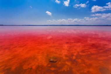 Laguna Salada de Torrevieja.Spain tuzlu kıyısında.