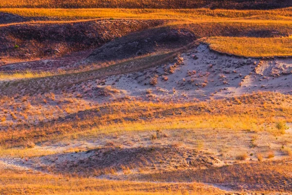 Нида - Куршская коса и Куршская лагуна, Нида, Клайпеда, Литва. Балтийские дюны. Наследие ЮНЕСКО. Нида расположена на Куршской косе — стоковое фото