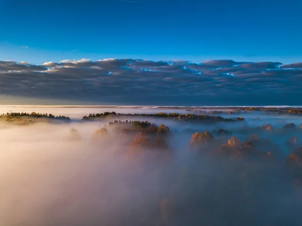 Пташиного польоту туман восени, Литва — стокове фото