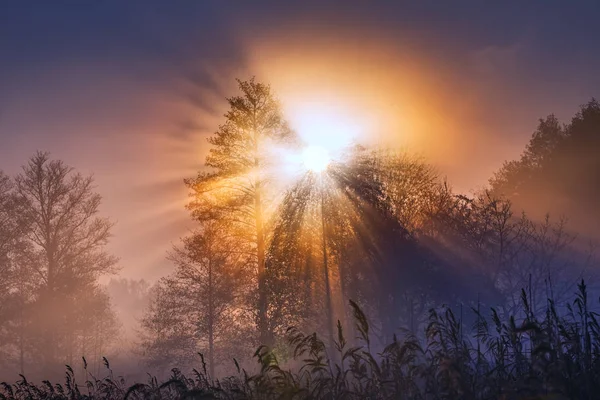 Wunderschöne Landschaft mit Sonnenstrahlen am frühen Morgen — Stockfoto