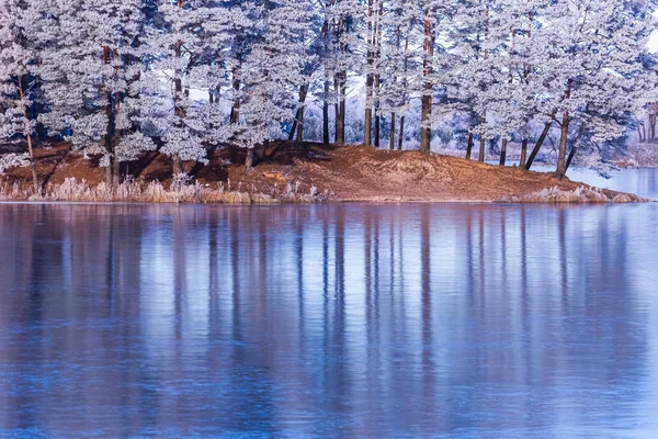 Frusen sjö och frost på grenar och träd. Väderprognos bakgrund — Stockfoto