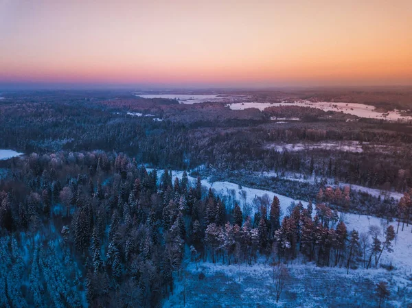 Vista aérea del bosque cubierto de nieve de invierno y el lago congelado desde arriba capturado con un dron en Lituania . —  Fotos de Stock