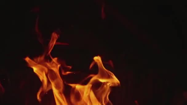 Vídeo abstracto de fuego ardiente — Vídeo de stock