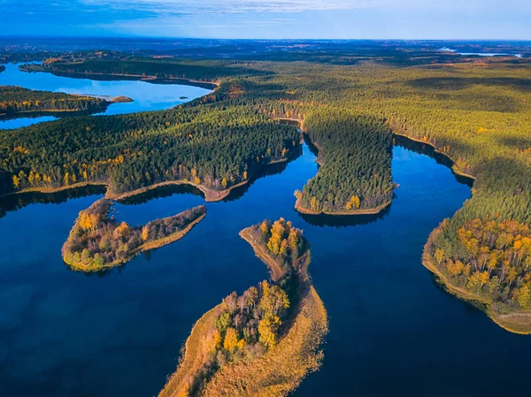 Панорамний вид з туман на осінь, Литва — стокове фото