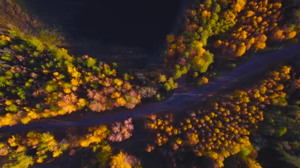 Luftflug über der Straße zwischen Wäldern. Herbstfarben — Stockvideo