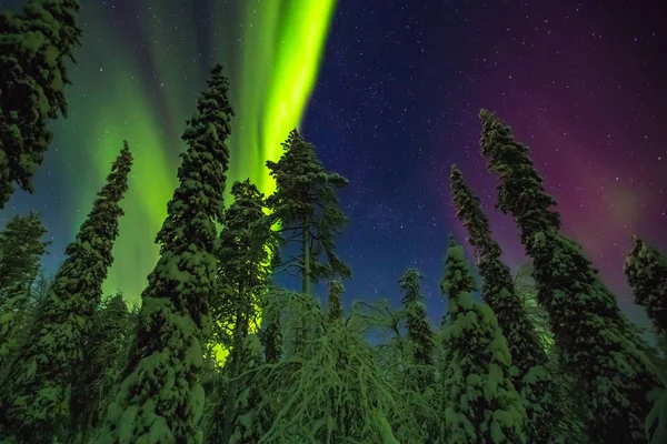Luci settentrionali in Lapponia finlandese — Foto Stock