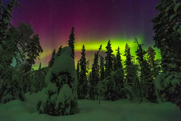 Aurores boréales en Laponie Finlandaise — Photo