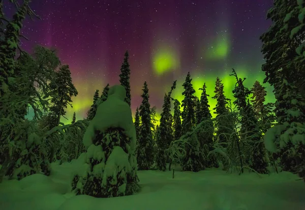 Luzes do norte em Finish Lapland — Fotografia de Stock