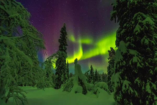 Aurores boréales en Laponie Finlandaise — Photo