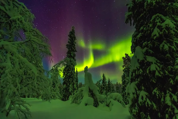 Luci settentrionali in Lapponia finlandese — Foto Stock