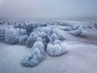 Kış, donmuş ormanın hava manzara