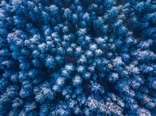 Textuur van de achtergrond van een bevroren bos in de winter, luchtfoto schot — Stockfoto