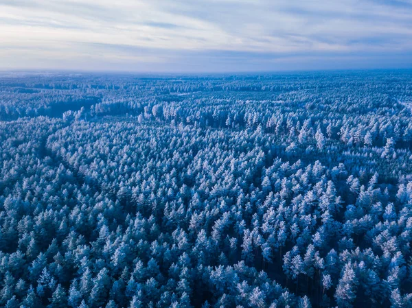 Bakgrundsstruktur av en fryst skog på vintern, antenn skott — Stockfoto