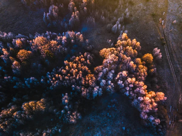 Textura de fondo de un bosque congelado en invierno, plano aéreo —  Fotos de Stock