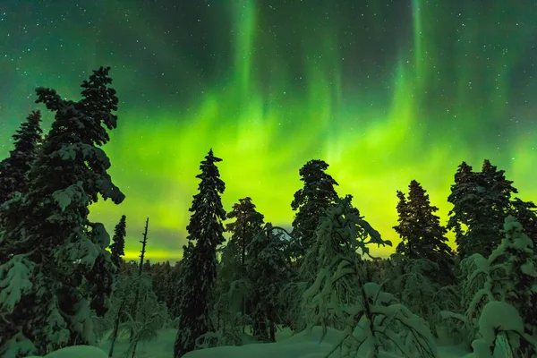 Aurores boréales en Laponie Finlandaise — Photo