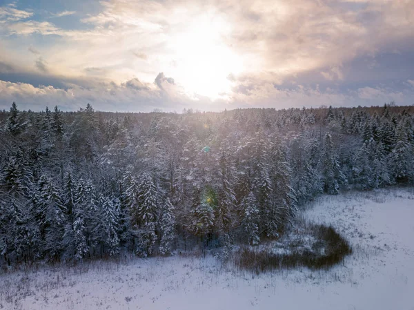Buz gibi ağaçlar, havadan görünümü ile kış orman. Litvanya