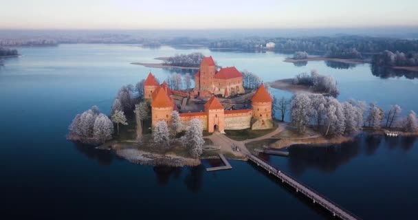 Castelo Trakai Inverno Vista Aérea Acima Castelo — Vídeo de Stock