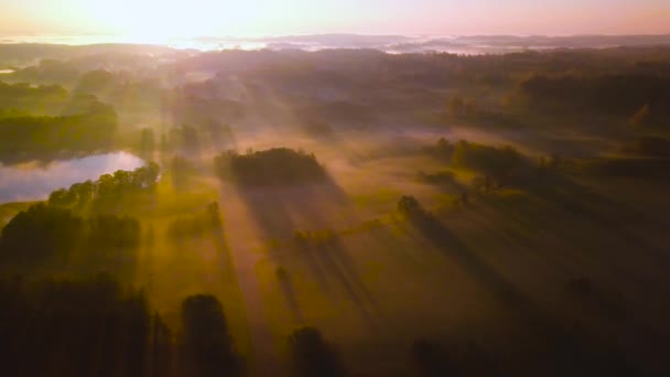 Scène de brouillard incroyable de rayons lumineux au-dessus des champs — Video