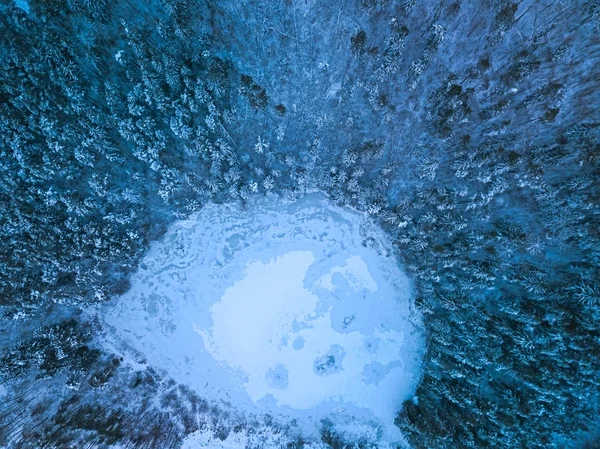 Textura de fundo de uma floresta congelada e lago no inverno, tiro aéreo — Fotografia de Stock