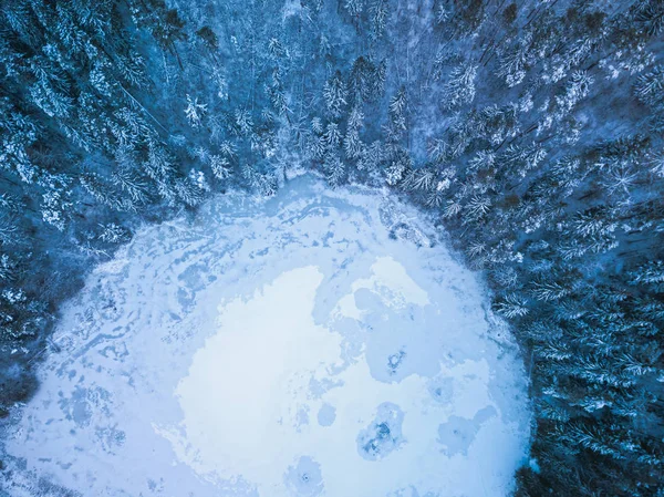 Textura de fundo de uma floresta congelada e lago no inverno, tiro aéreo — Fotografia de Stock