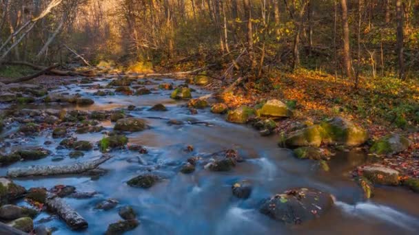 4 k timelapse van de stroom van de kleine rivier in Litouwen — Stockvideo