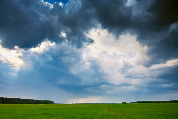 Bild dunkler Gewitterwolken auf dem Feld — Stockfoto