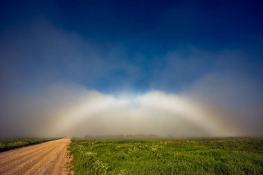 Yol yakınında Nadir Beyaz Gökkuşağı Fogbow
