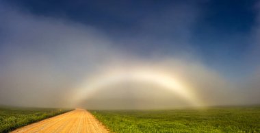 Yol yakınında Nadir Beyaz Gökkuşağı Fogbow