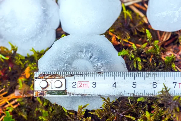 Huge 5 centimeters of hailstone in Lithuania, Europe — Stock Photo, Image
