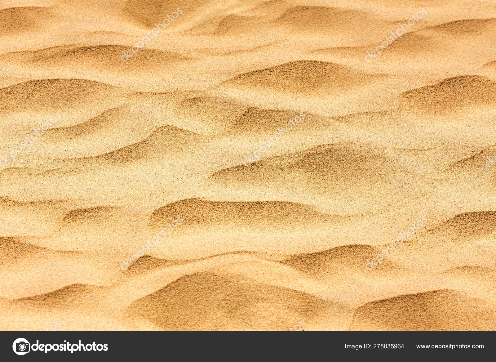 Background Image Of Desert Sand In The Dunes Stock Photo C Ljphoto7 Gmail Com