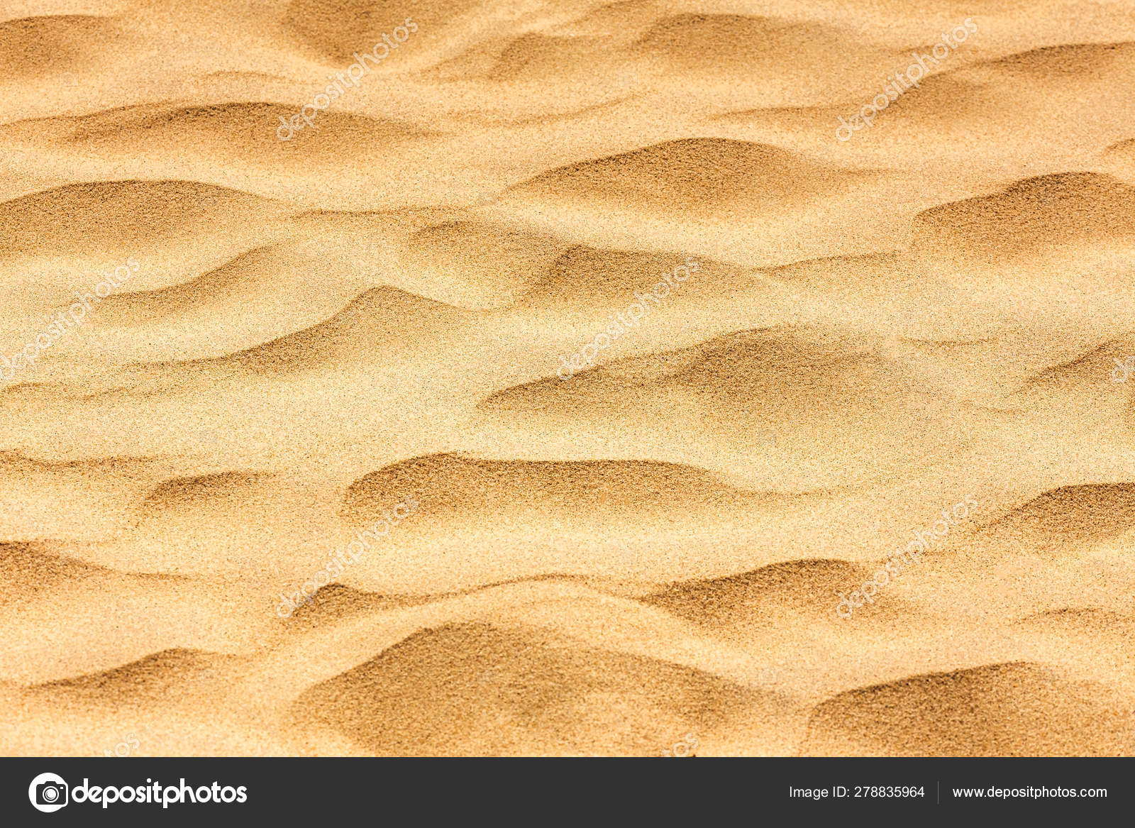 Background Image Of Desert Sand In The Dunes Stock Photo C Ljphoto7 Gmail Com Background Image Of Desert Sand In The Dunes Stock Photo C Ljphoto7 Gmail Com