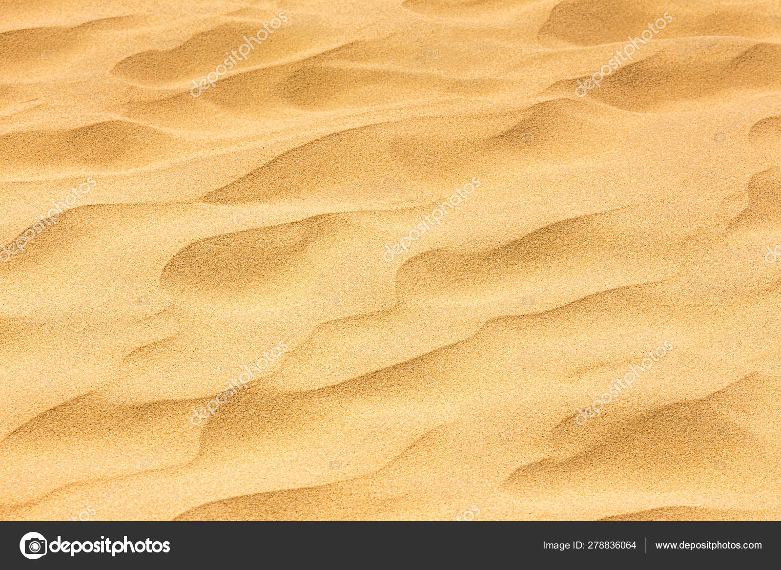 Background Image Of Desert Sand In The Dunes Stock Photo Image By C Ljphoto7 Gmail Com