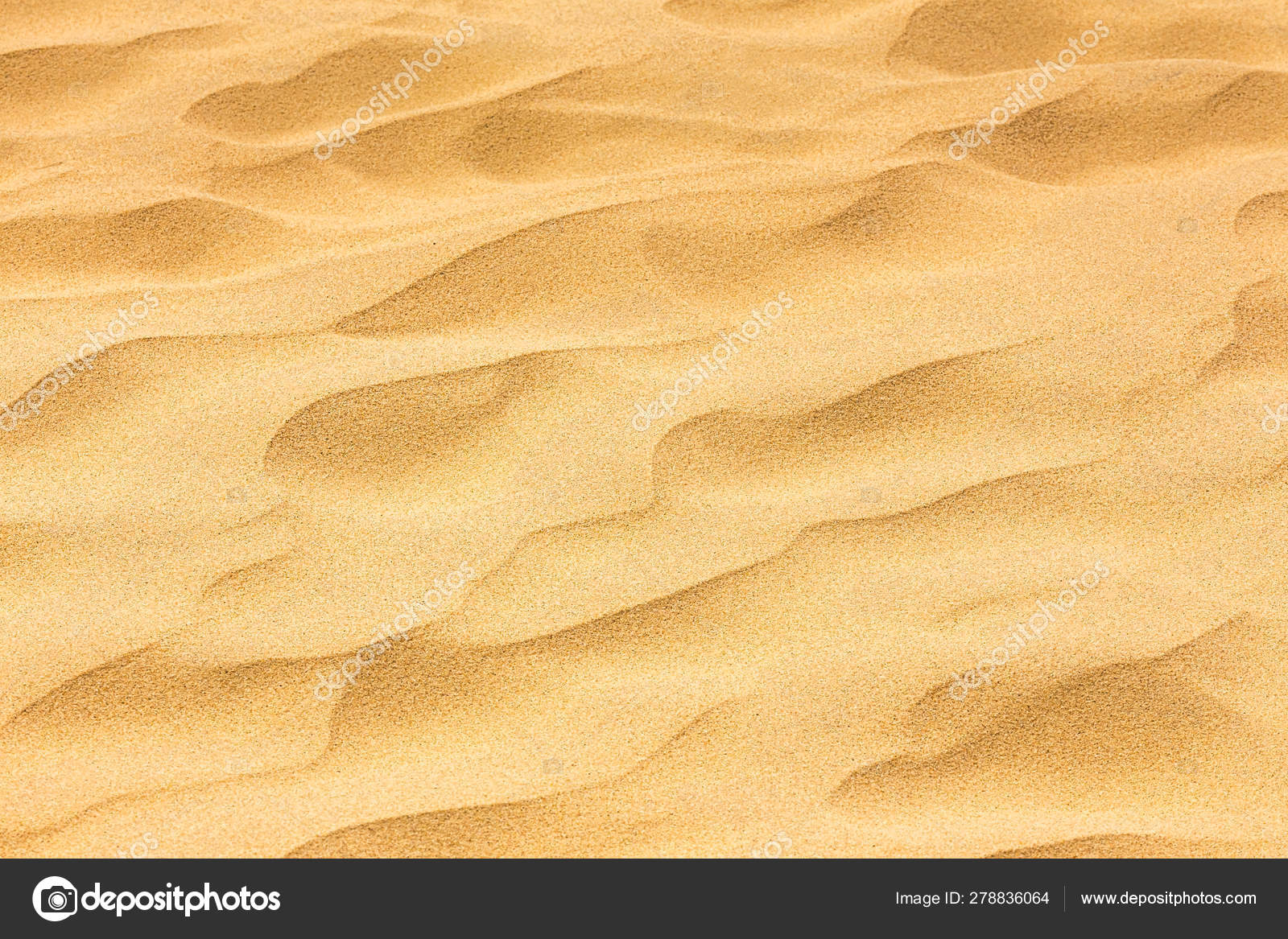 Background Image Of Desert Sand In The Dunes Stock Photo Image By C Ljphoto7 Gmail Com Background Image Of Desert Sand In The Dunes Stock Photo Image By C Ljphoto7 Gmail Com