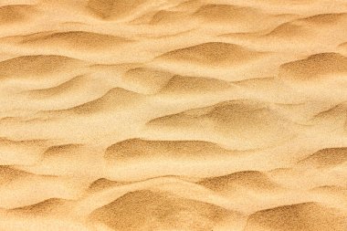 Kumullarda çöl kumu arka plan görüntüsü