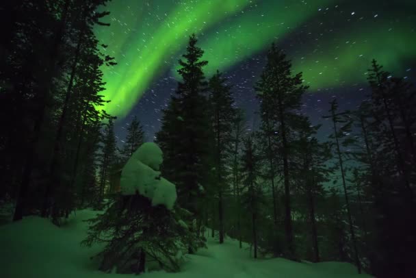 Cumulatif Time Lapse forêt, ciel étoilé avec des sentiers étoilés et des aurores boréales vertes en Laponie finlandaise — Video